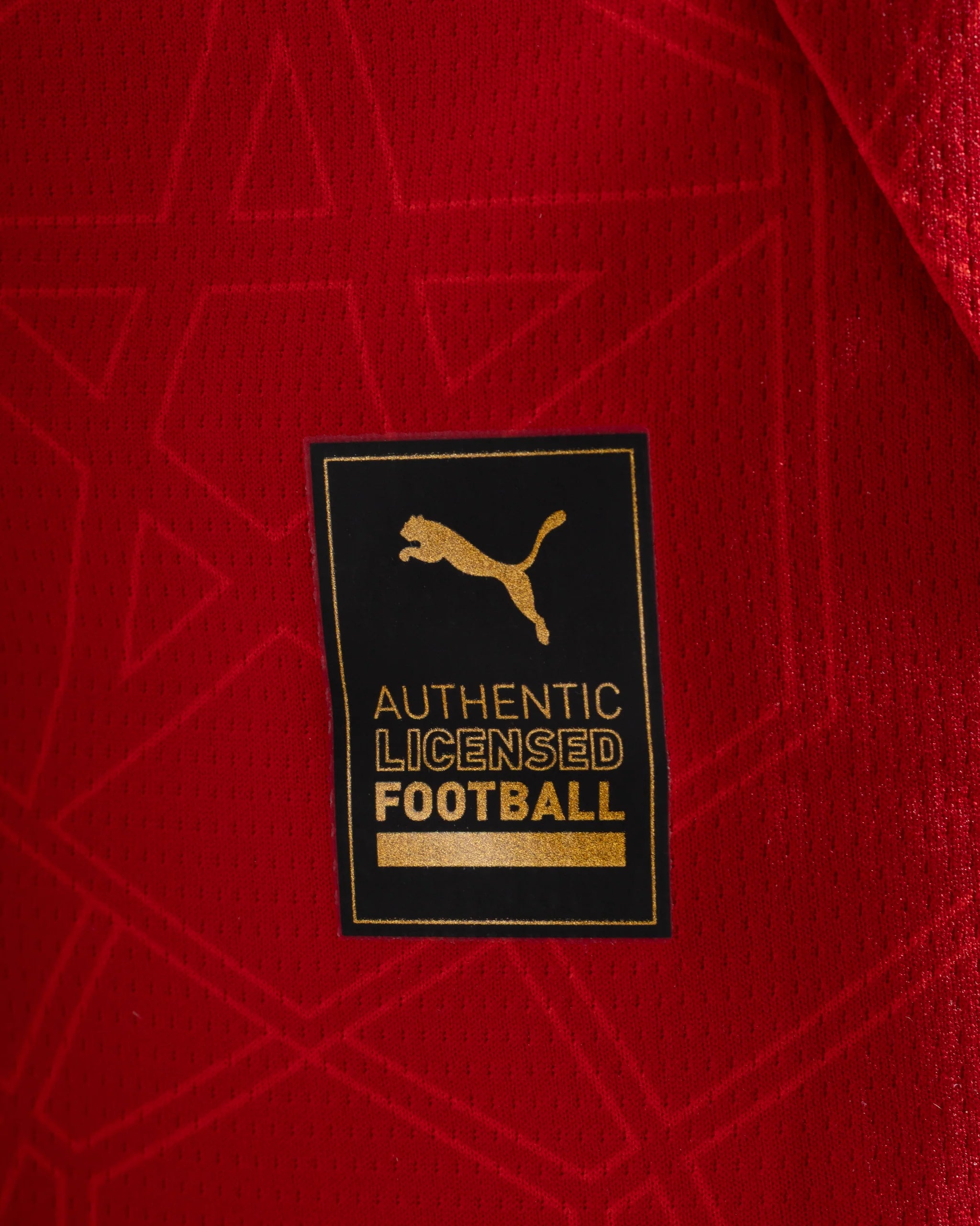 FRMF Home Jersey Men