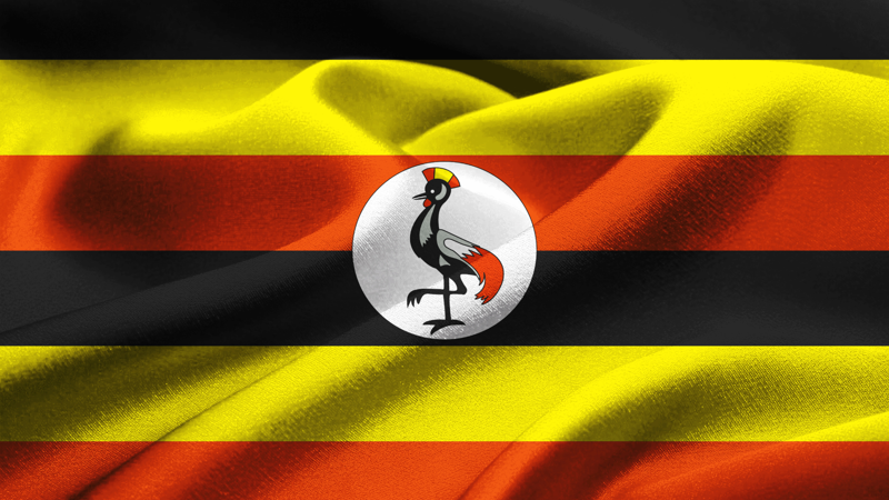 Ouganda : Perle des merveilles naturelles